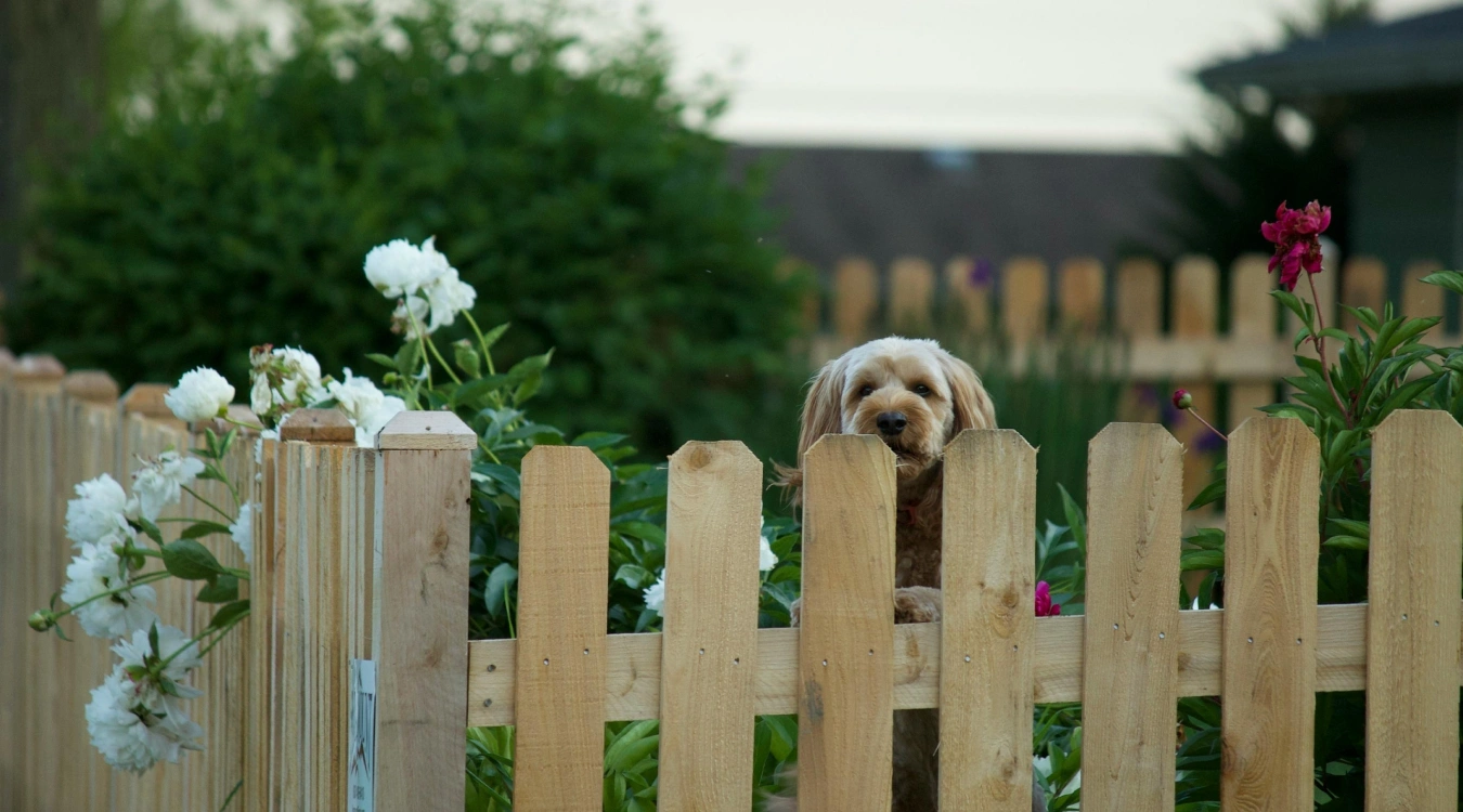 PetFence Just Do It Fencing LLC Rogers, AR PetFence Just Do It Fencing LLC Rogers, AR
